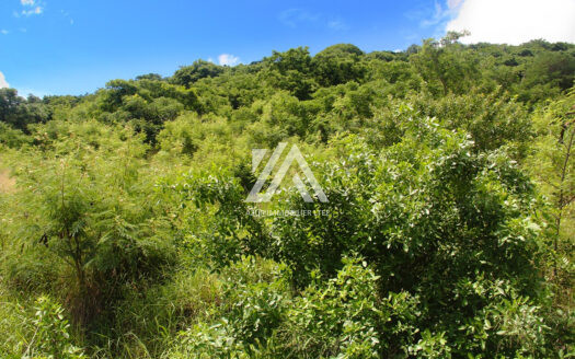 SOREZE, PAILLES (NORTH) –  1 acre agricultural land