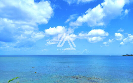 BAIE DU TOMBEAU (NORTH-WEST) – Stock in Trade – Beachfront Hotel.