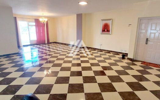 SODNAC (CENTER): 3 bedroom apartment