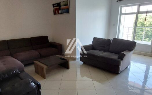 SODNAC (CENTER) : 3-bedroom apartment furnished