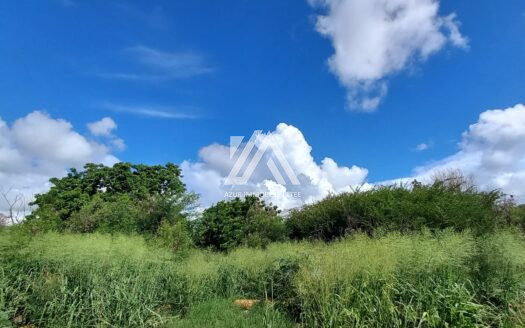 RICHE TERRE (NORTH) : 7,916.63 m2 plot