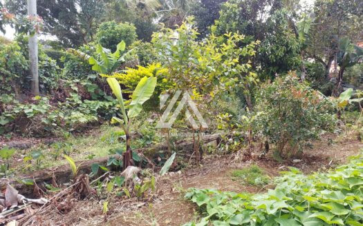 CAMP FOUQUEREAUX (CENTRE): 6-bedroom house