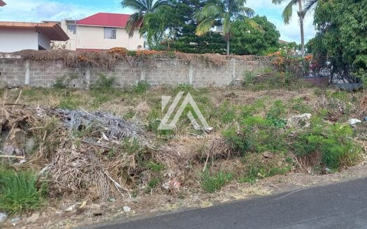 ROCHES BRUNES (CENTER):