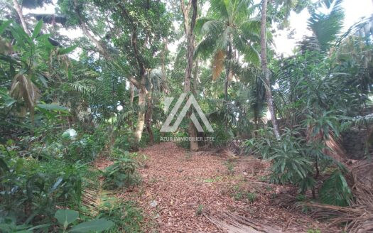 FLACQ (EAST): Commercial land 5,194 m2