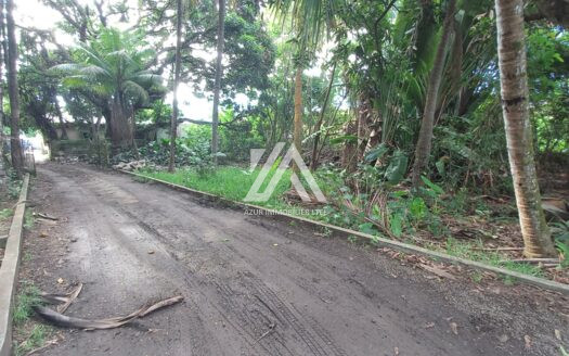 FLACQ (EAST): Commercial land 5,194 m2